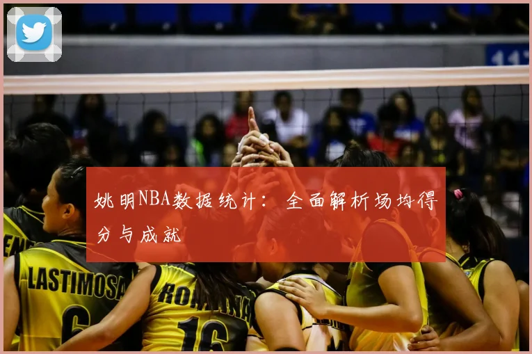 姚明NBA数据统计：全面解析场均得分与成就